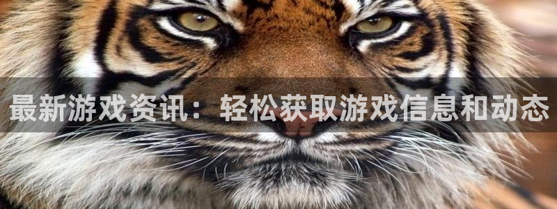 长征娱乐开户测速：最新游戏资讯：轻松获取游戏信息和动态