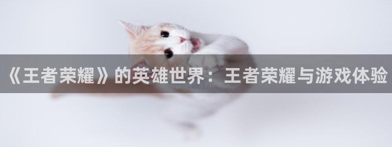 长征娱乐app：《王者荣耀》的英雄世界：王者荣耀与游戏体验
