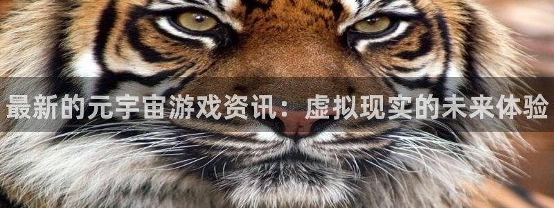 长征娱乐怎么注册：最新的元宇宙游戏资讯：虚拟现实的未来体验