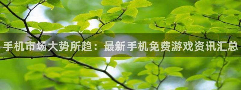 长征娱乐平台登陆：手机市场大势所趋：最新手机免费游戏资讯汇总