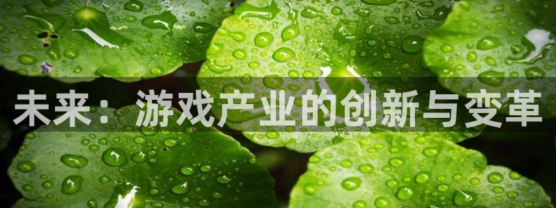 长征娱乐注册服务条款：未来：游戏产业的创新与变革
