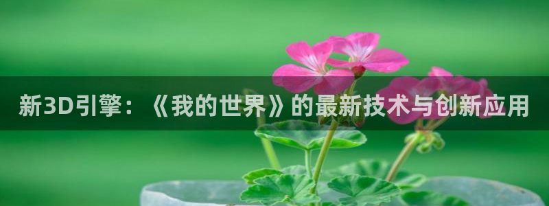 长征娱乐平台注册开户：新3D引擎：《我的世界》的最新技术与创