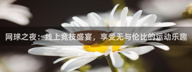 长征娱乐app下载：网球之夜：线上竞技盛宴，享受无与伦比的运