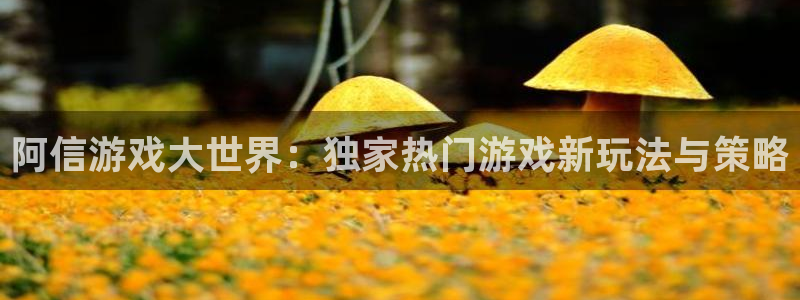 沐春长征娱乐：阿信游戏大世界：独家热门游戏新玩法与策略