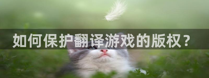 长征娱乐娱乐：如何保护翻译游戏的版权？