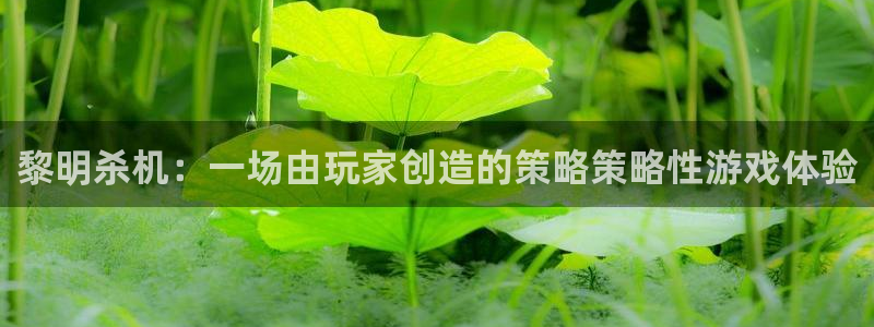 长征娱乐平台注册开户：黎明杀机：一场由玩家创造的策略策略性游