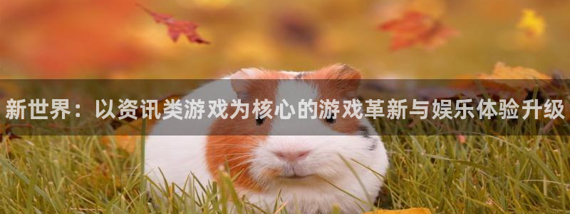长征娱乐平台登录入口：新世界：以资讯类游戏为核心的游戏革新与