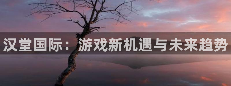 长征娱乐2登录：汉堂国际：游戏新机遇与未来趋势