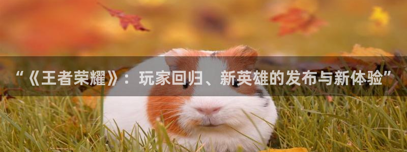 长征娱乐注册登录：“《王者荣耀》：玩家回归、新英雄的发布与新