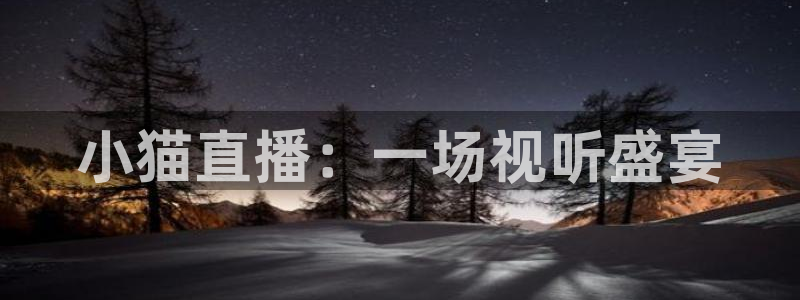 极速体育直播nba直播吧回放：小猫直播：一场视听盛宴