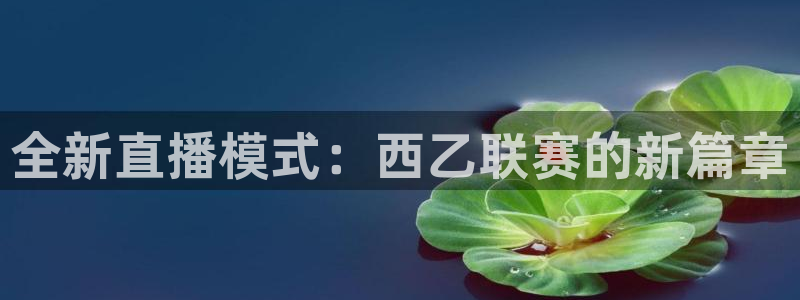 球皇直播吧：全新直播模式：西乙联赛的新篇章
